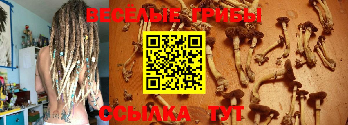 Гашиш  Гашиш  Каннабис  Новороссийск  МЕФ   Вход с VPN  COCAIN 