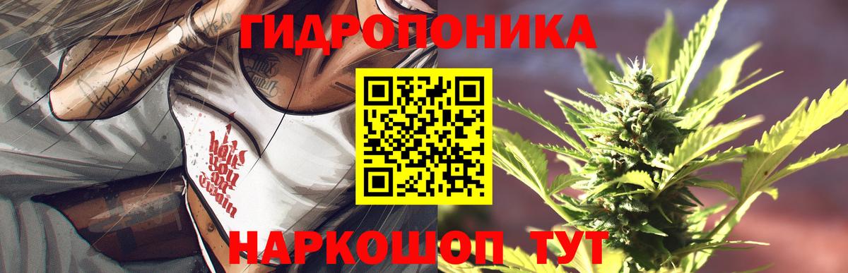 Конопля Bruce Banner  Вход с VPN  Новороссийск  Марихуана сатива  Конопля Ganja 